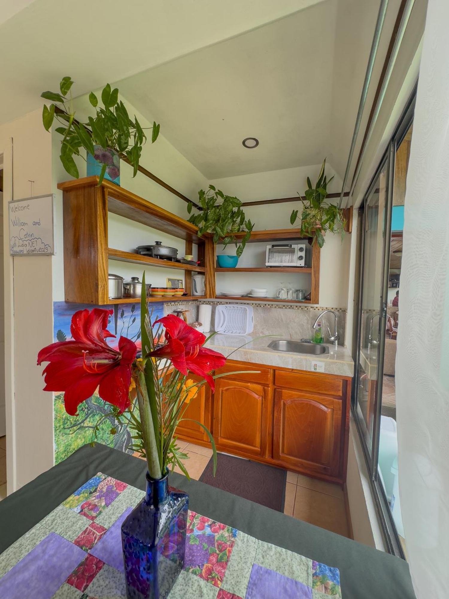 Lidia'S Mountain View Vacation Homes Monteverde 외부 사진